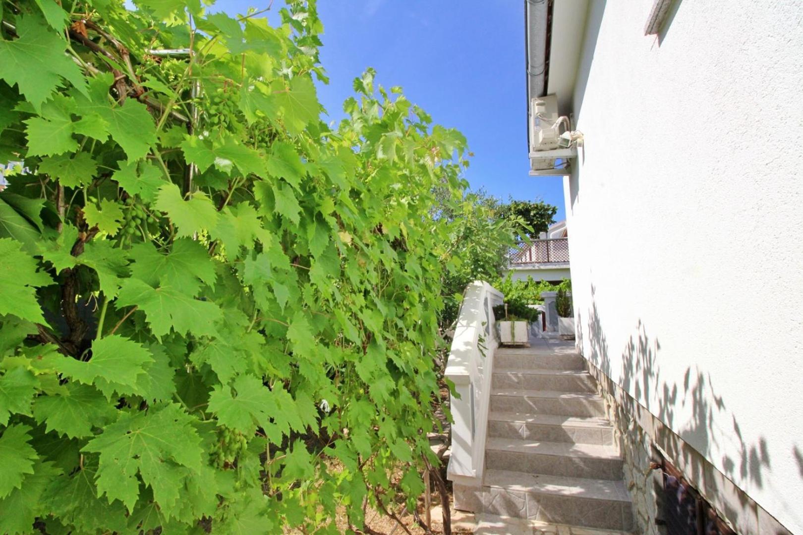 Apartments Zlatica Šilo Zewnętrze zdjęcie
